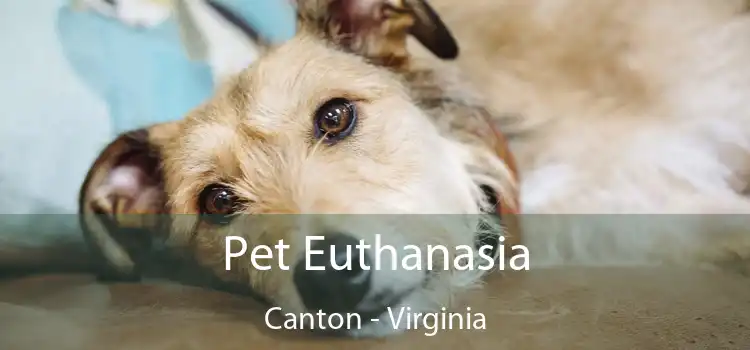 Pet Euthanasia Canton - Virginia