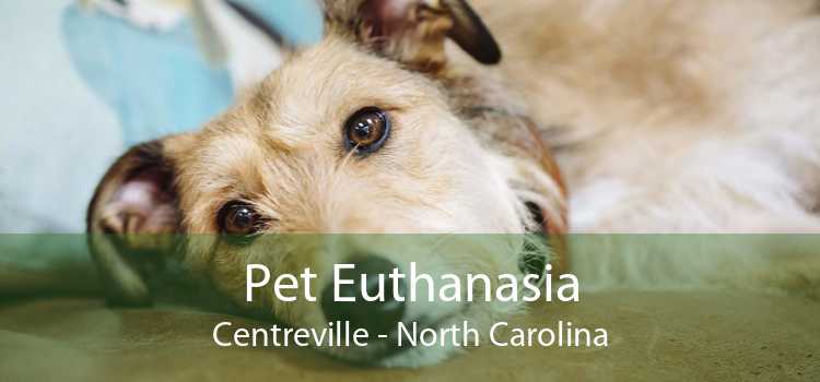 Pet Euthanasia Centreville - North Carolina