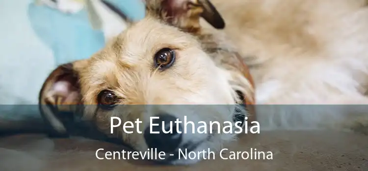 Pet Euthanasia Centreville - North Carolina