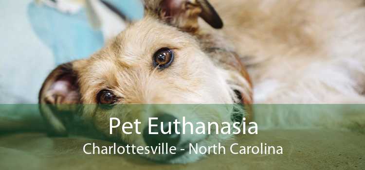 Pet Euthanasia Charlottesville - North Carolina