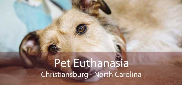 Pet Euthanasia Christiansburg - North Carolina