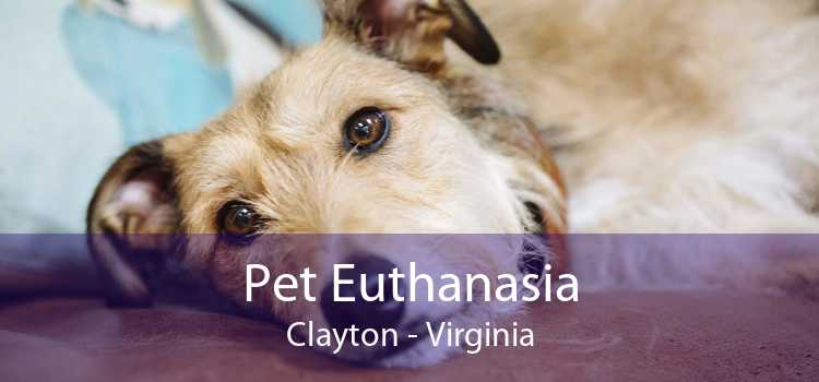 Pet Euthanasia Clayton - Virginia