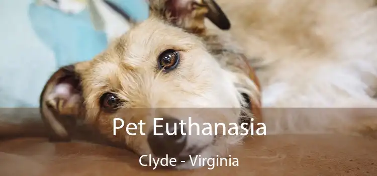 Pet Euthanasia Clyde - Virginia