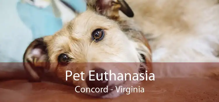 Pet Euthanasia Concord - Virginia