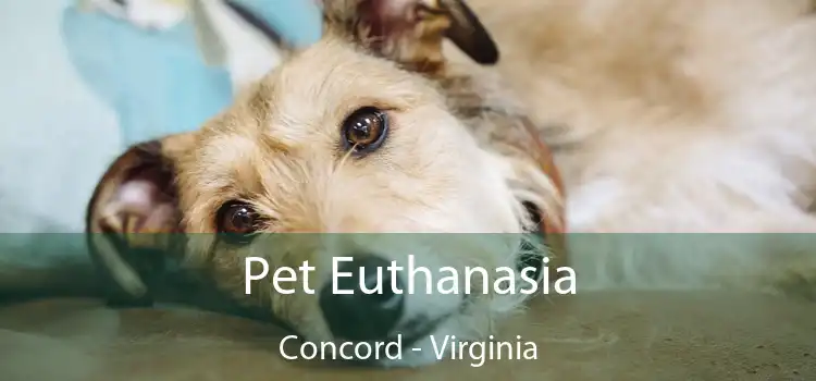 Pet Euthanasia Concord - Virginia