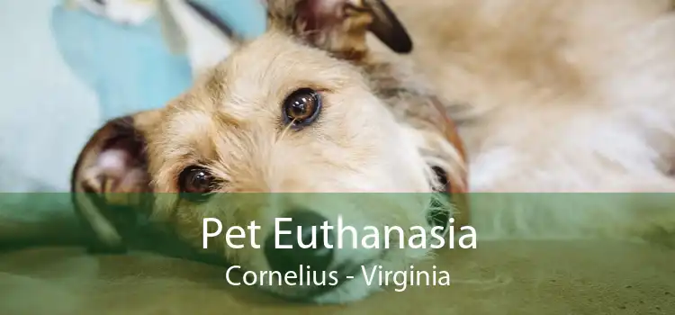 Pet Euthanasia Cornelius - Virginia