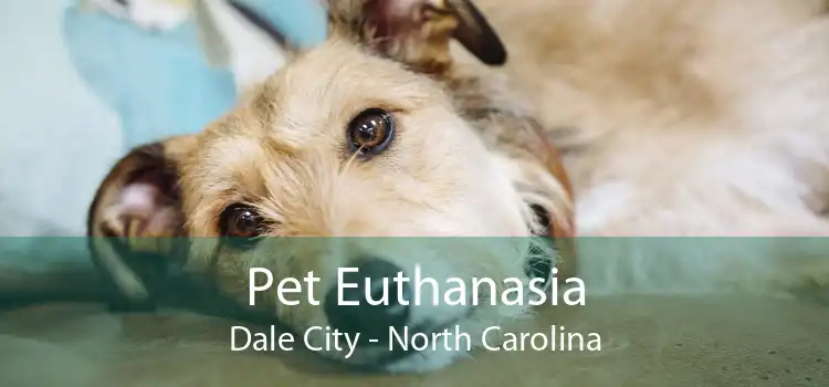 Pet Euthanasia Dale City - North Carolina