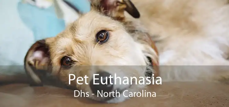 Pet Euthanasia Dhs - North Carolina