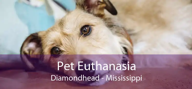 Pet Euthanasia Diamondhead - Mississippi