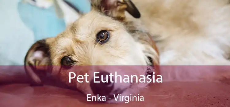 Pet Euthanasia Enka - Virginia