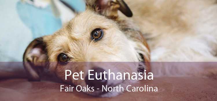 Pet Euthanasia Fair Oaks - North Carolina