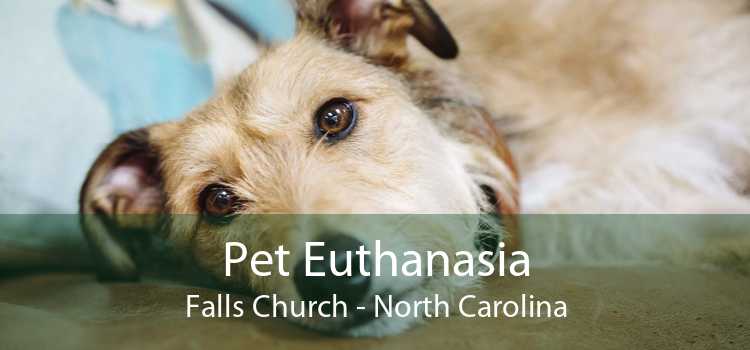 Pet Euthanasia Falls Church - North Carolina
