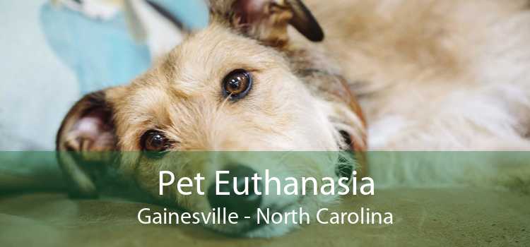 Pet Euthanasia Gainesville - North Carolina
