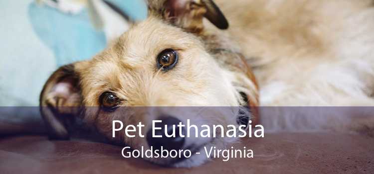 Pet Euthanasia Goldsboro - Virginia