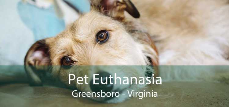 Pet Euthanasia Greensboro - Virginia