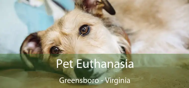 Pet Euthanasia Greensboro - Virginia