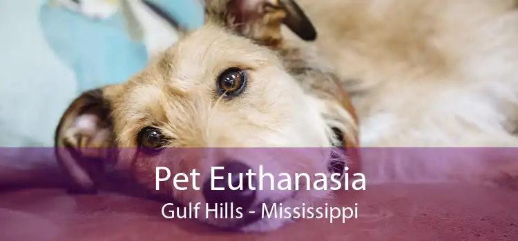 Pet Euthanasia Gulf Hills - Mississippi