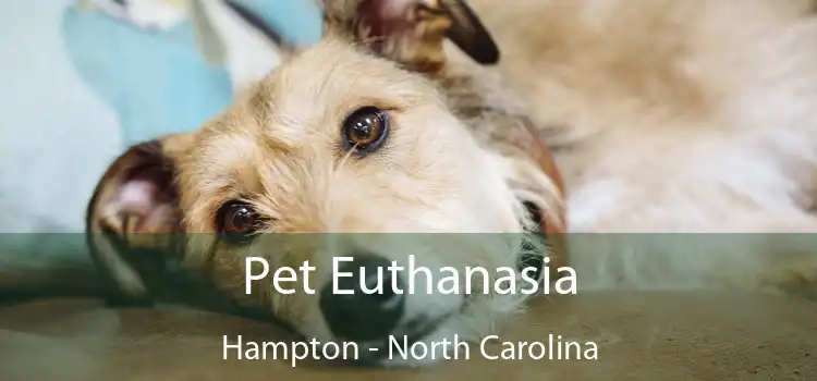 Pet Euthanasia Hampton - North Carolina