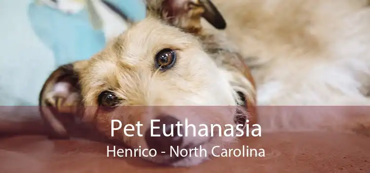 Pet Euthanasia Henrico - North Carolina