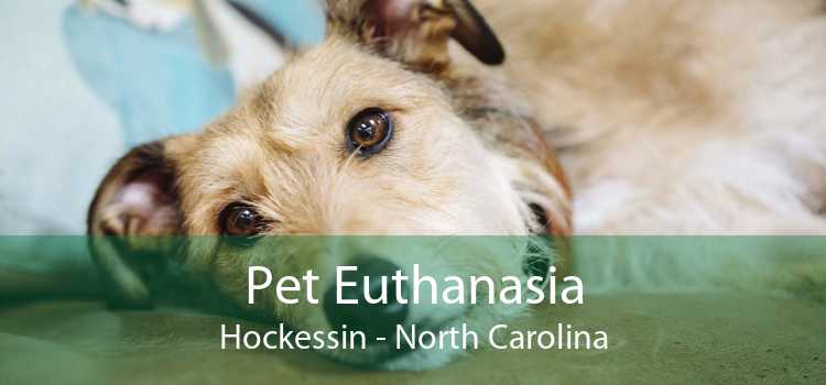 Pet Euthanasia Hockessin - North Carolina