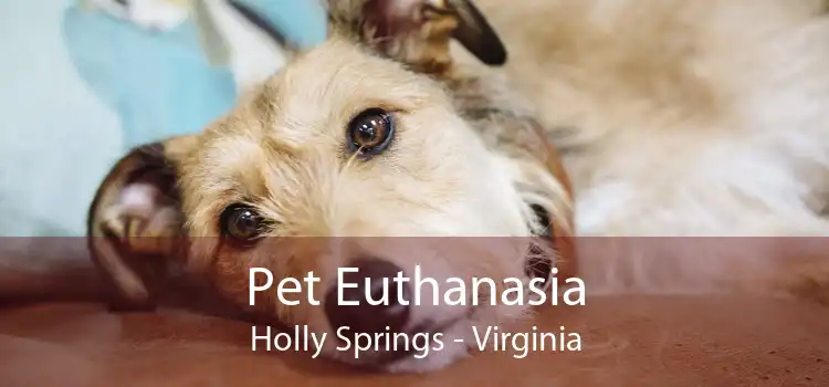 Pet Euthanasia Holly Springs - Virginia
