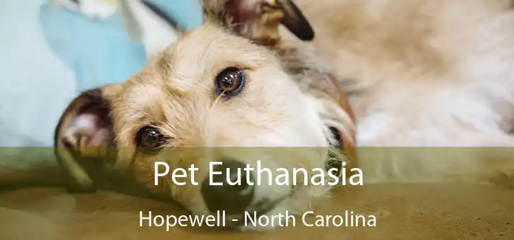 Pet Euthanasia Hopewell - North Carolina