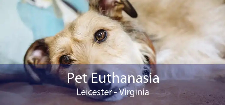 Pet Euthanasia Leicester - Virginia