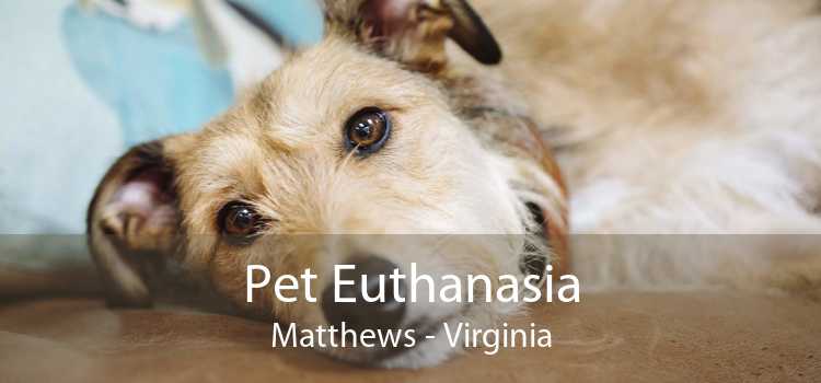 Pet Euthanasia Matthews - Virginia