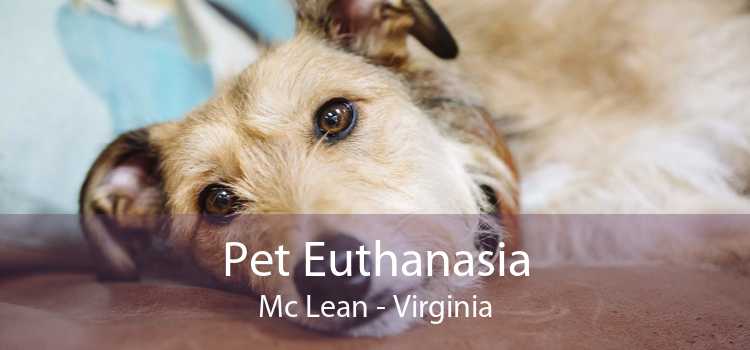 Pet Euthanasia Mc Lean - Virginia