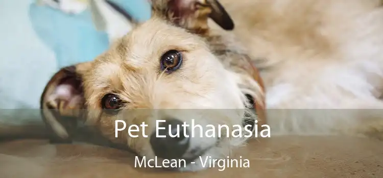 Pet Euthanasia McLean - Virginia