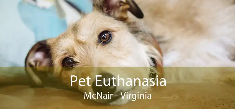 Pet Euthanasia McNair - Virginia