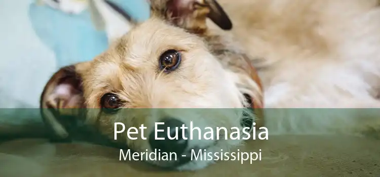Pet Euthanasia Meridian - Mississippi