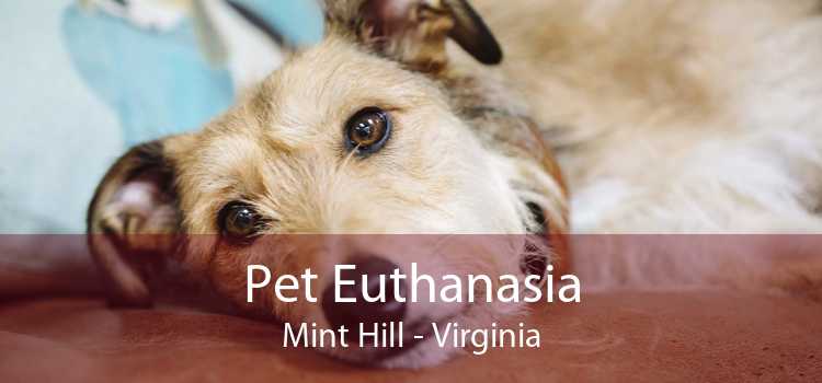 Pet Euthanasia Mint Hill - Virginia