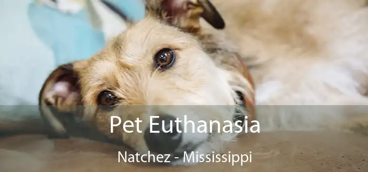 Pet Euthanasia Natchez - Mississippi