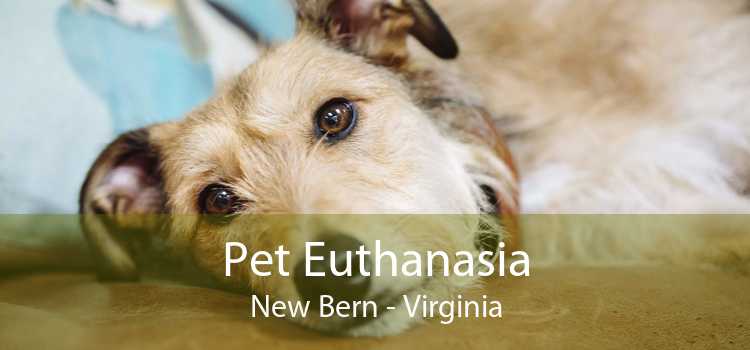 Pet Euthanasia New Bern - Virginia