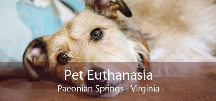 Pet Euthanasia Paeonian Springs - Virginia