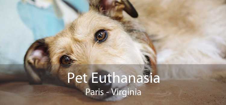 Pet Euthanasia Paris - Virginia