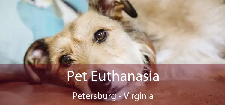 Pet Euthanasia Petersburg - Virginia