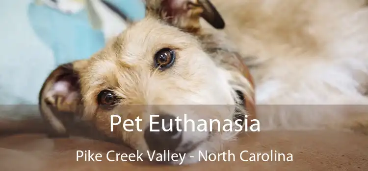 Pet Euthanasia Pike Creek Valley - North Carolina