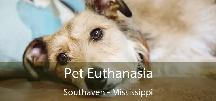 Pet Euthanasia Southaven - Mississippi