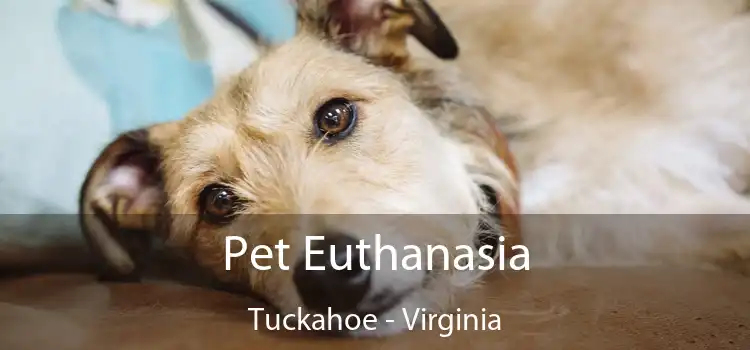 Pet Euthanasia Tuckahoe - Virginia