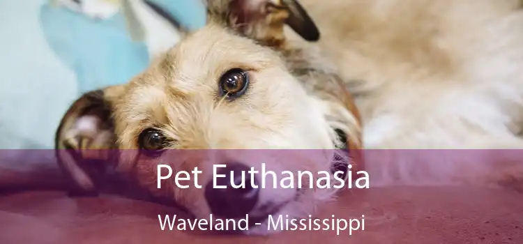 Pet Euthanasia Waveland - Mississippi