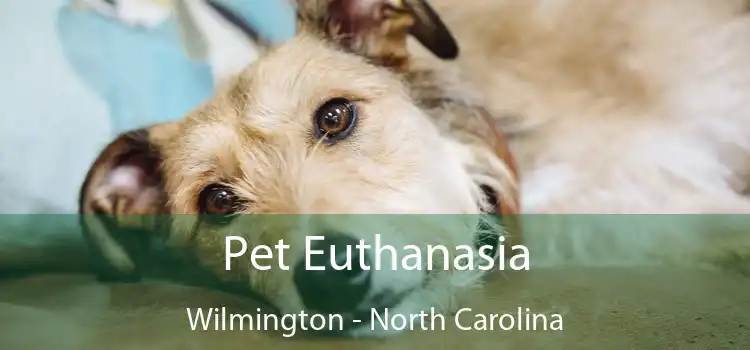 Pet Euthanasia Wilmington - North Carolina