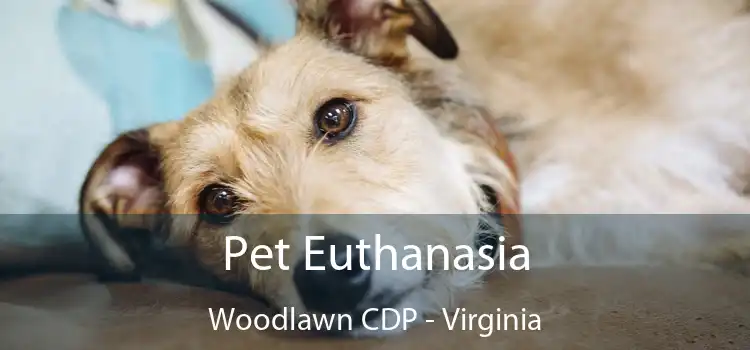 Pet Euthanasia Woodlawn CDP - Virginia