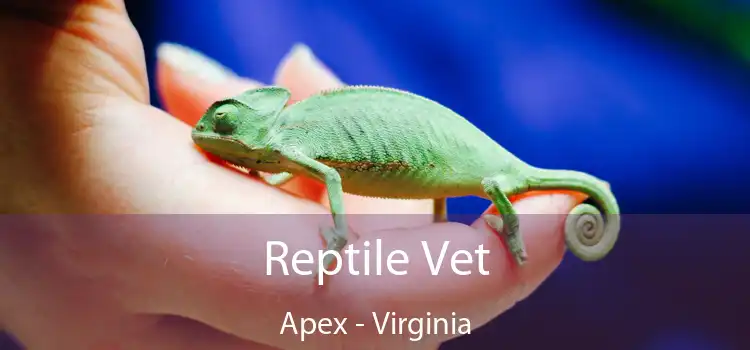 Reptile Vet Apex - Virginia