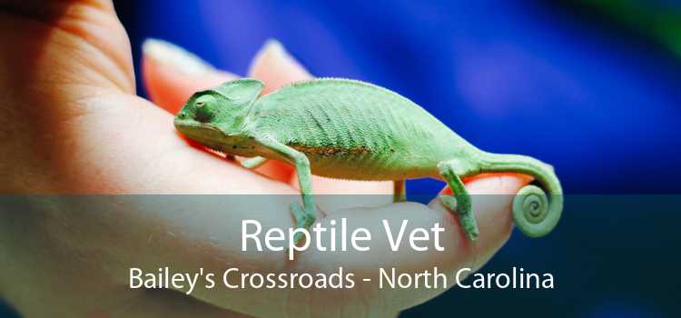 Reptile Vet Bailey's Crossroads - North Carolina