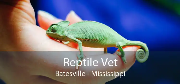 Reptile Vet Batesville - Mississippi