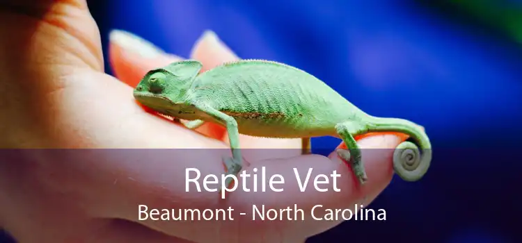 Reptile Vet Beaumont - North Carolina
