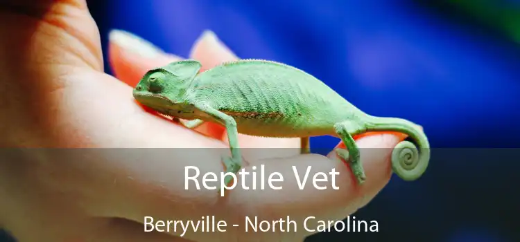 Reptile Vet Berryville - North Carolina