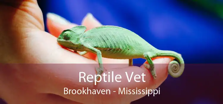 Reptile Vet Brookhaven - Mississippi